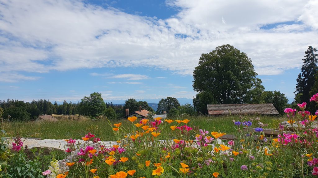 LES_LOGES_EXTERIEUR_9